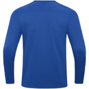 RKSV Bekkerveld Sweater Power