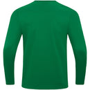 RKSV Groene Ster Sweater Power