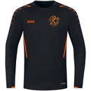 VV-Amsterdam-Pullover